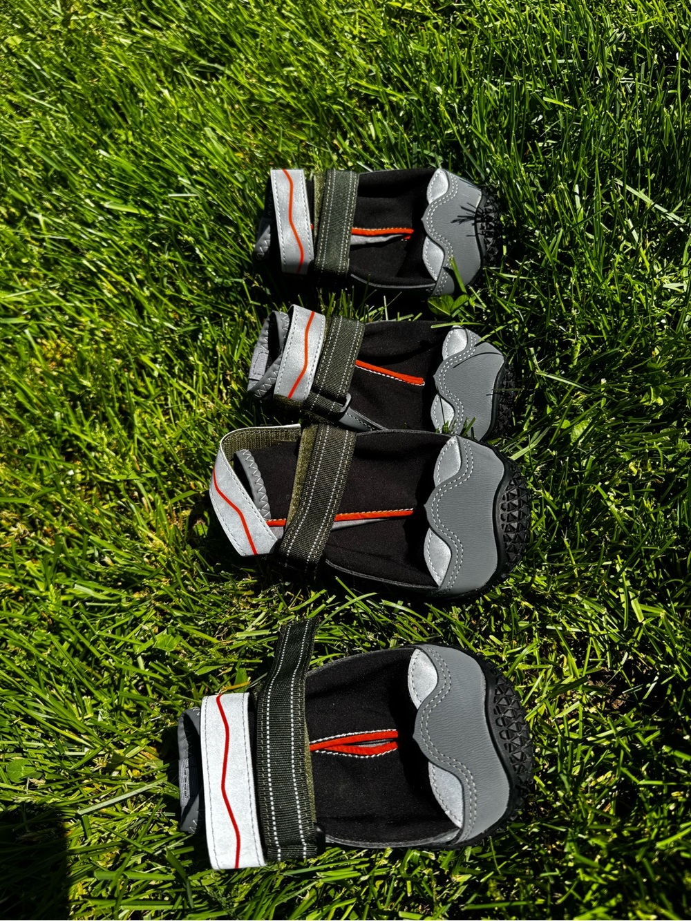 XL Dog boots set (Rotti size)